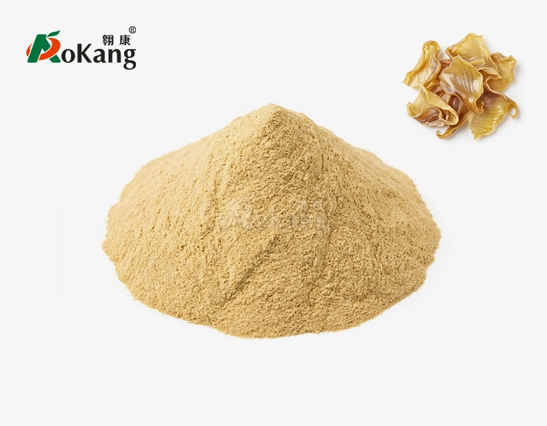 Chicken's Gizzard-membrane Powder